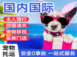 温州航空快递国际宠物托运 【国